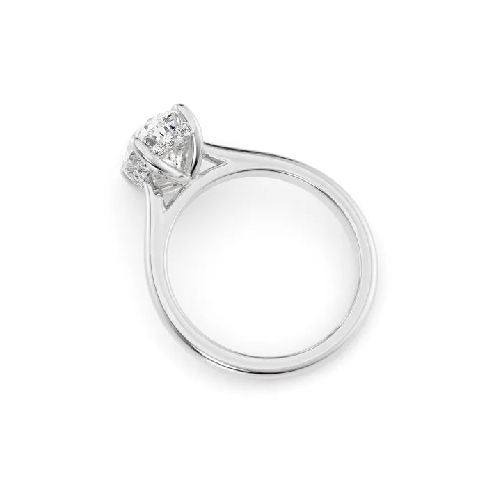 Oval Cut Cathedral Hidden Halo Engagement Ring