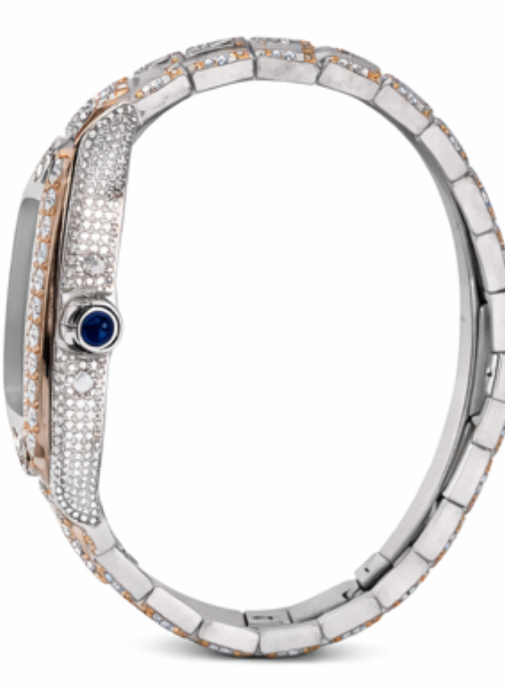 Iced Out Moissanite Diamond Luxury Two Tone Watch