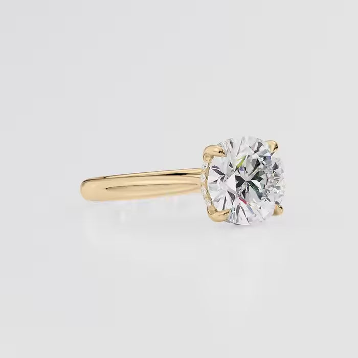 Round Cut Diamond Hidden Halo Cathedral Ring