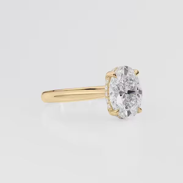 Oval Cut Cathedral Hidden Halo Engagement Ring