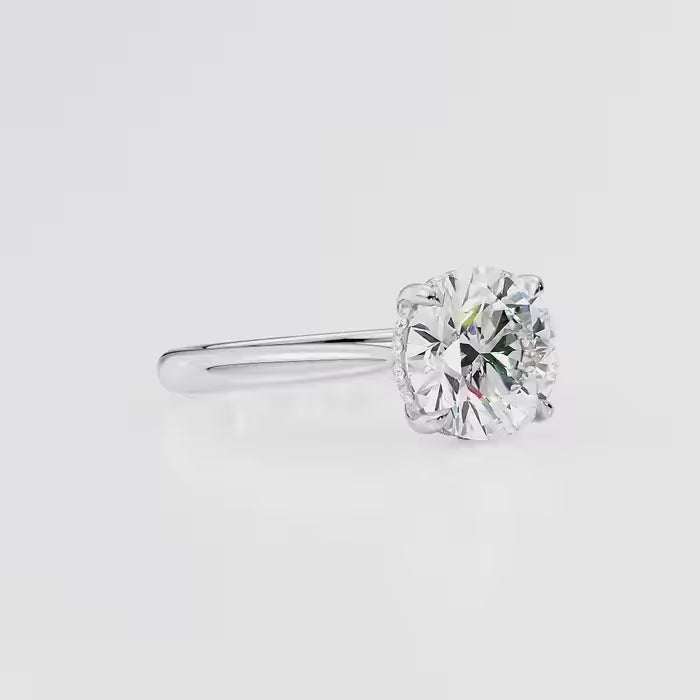 Round Cut Diamond Hidden Halo Cathedral Ring
